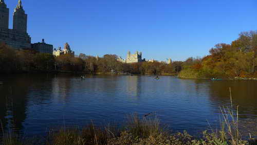 NYC_2012-11-22 14-40-45_P1070560